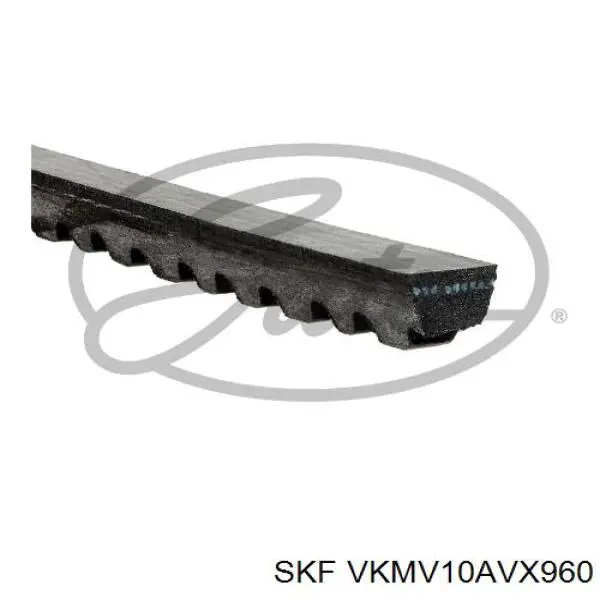 VKMV10AVX960 SKF correa trapezoidal