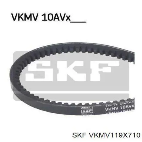 VKMV119X710 SKF correa trapezoidal