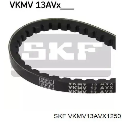 VKMV13AVX1250 SKF correa trapezoidal