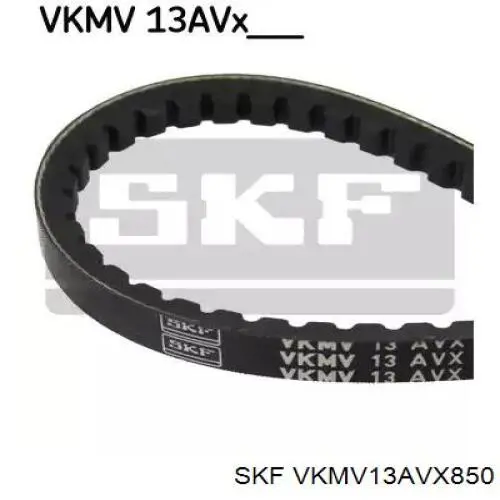 VKMV13AVX850 SKF correa trapezoidal