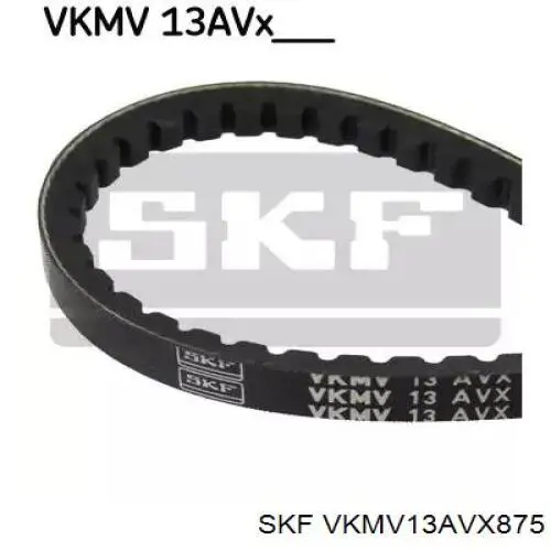 VKMV13AVX875 SKF correa trapezoidal