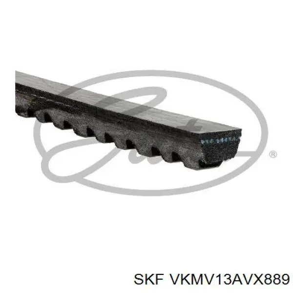 VKMV13AVX889 SKF correa trapezoidal