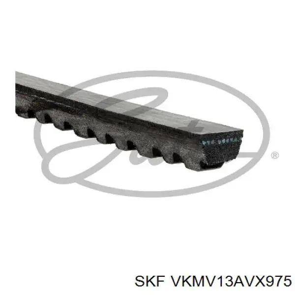 VKMV 13AVX975 SKF correa trapezoidal