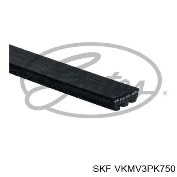 VKMV 3PK750 SKF correa trapezoidal