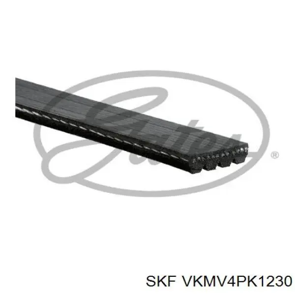VKMV4PK1230 SKF correa trapezoidal