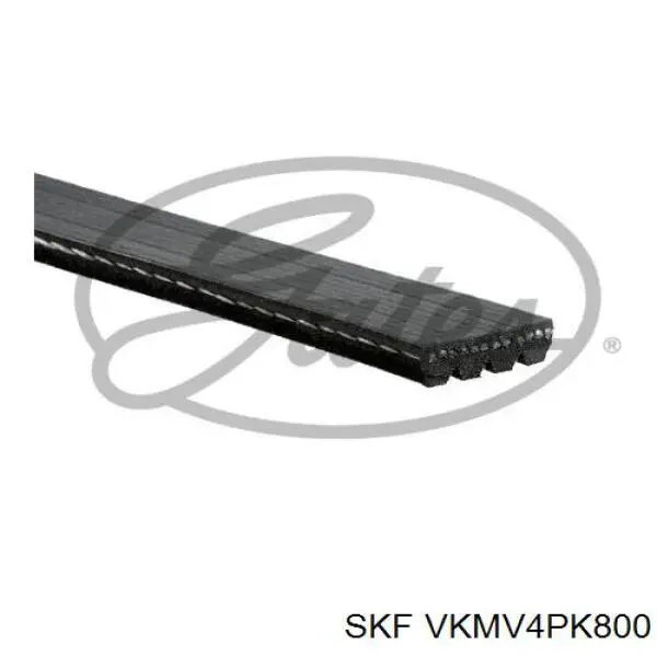 VKMV 4PK800 SKF correa trapezoidal