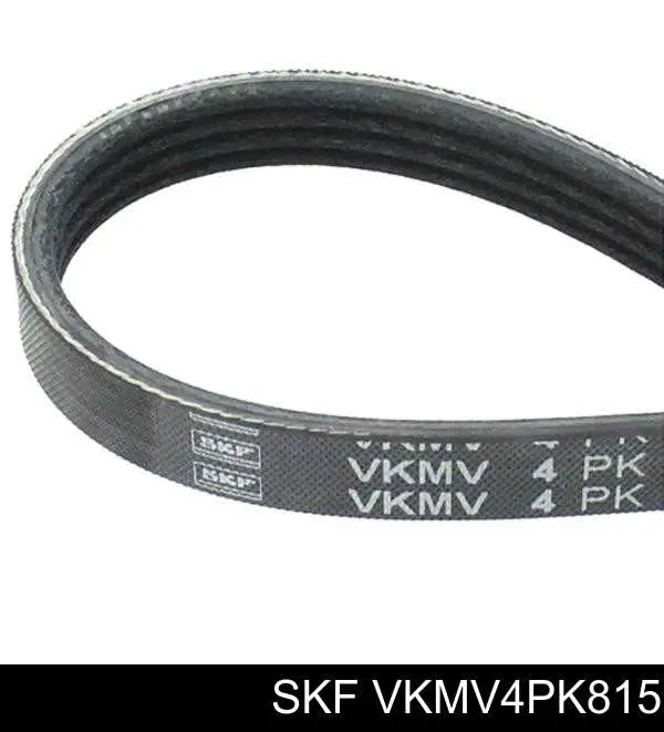 VKMV4PK815 SKF correa trapezoidal