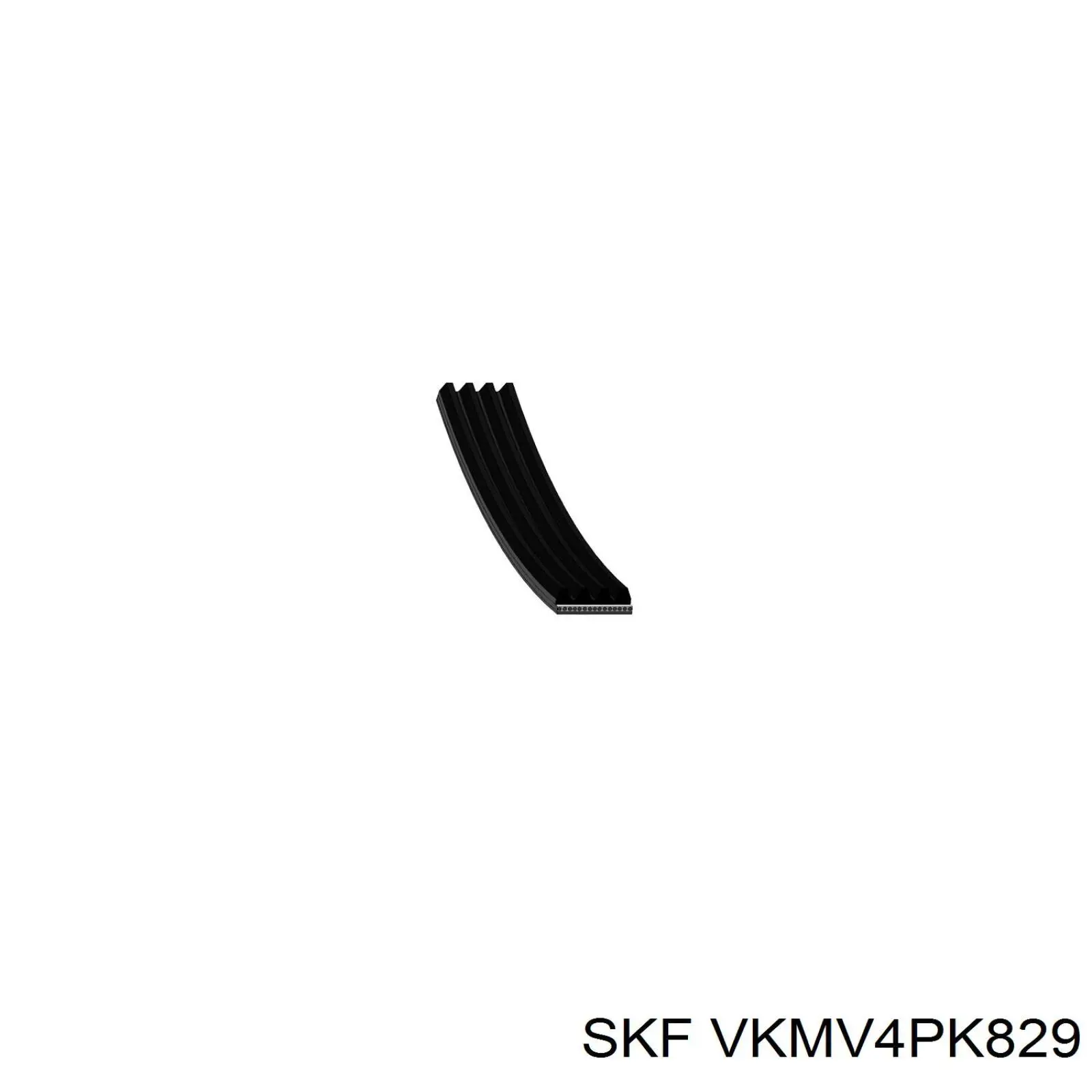 VKMV4PK829 SKF correa trapezoidal