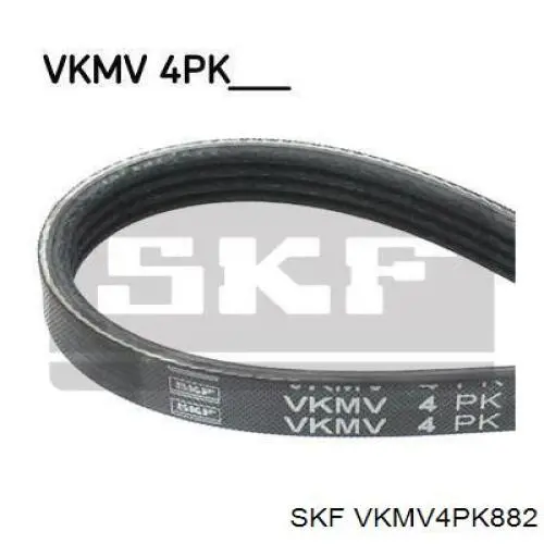 VKMV4PK882 SKF correa trapezoidal