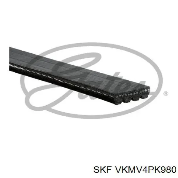 VKMV4PK980 SKF correa trapezoidal