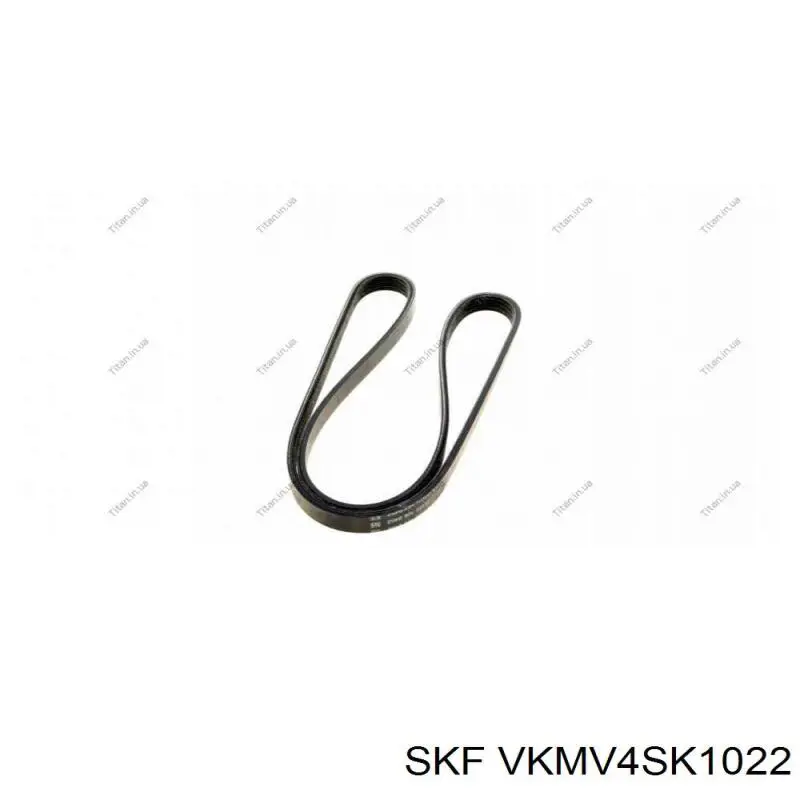 Comprar VKMV4SK1022 SKF Correa trapezoidal