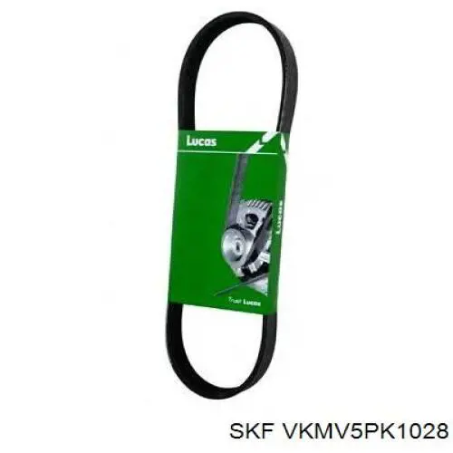 Comprar VKMV5PK1028 SKF Correa trapezoidal