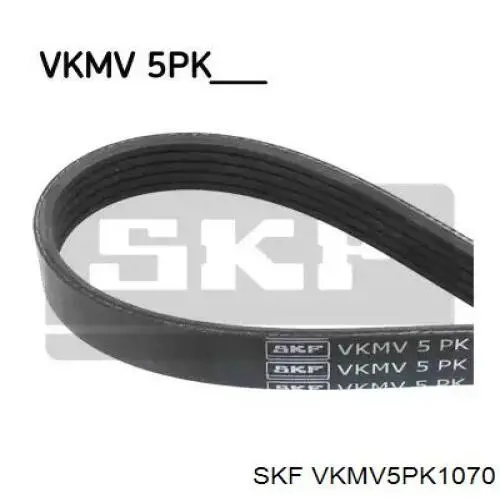 VKMV5PK1070 SKF correa trapezoidal