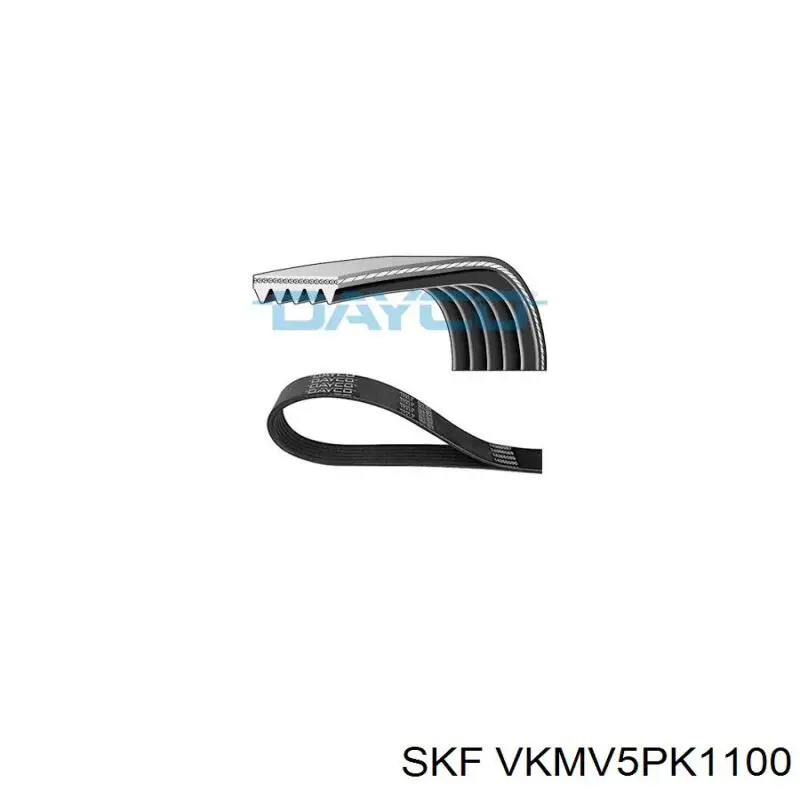 VKMV5PK1100 SKF correa trapezoidal