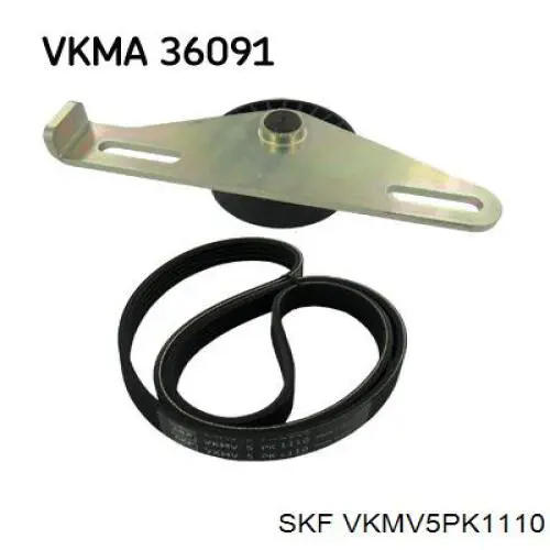 VKMV5PK1110 SKF correa trapezoidal