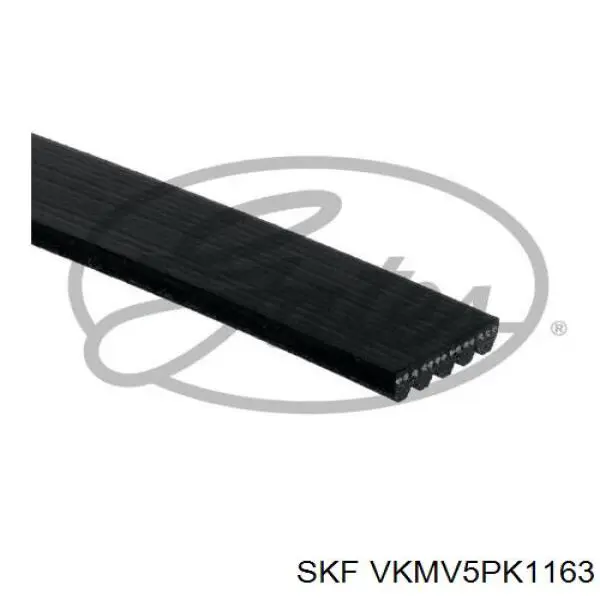 VKMV5PK1163 SKF correa trapezoidal