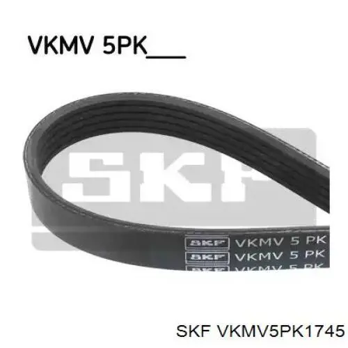 VKMV5PK1745 SKF correa trapezoidal