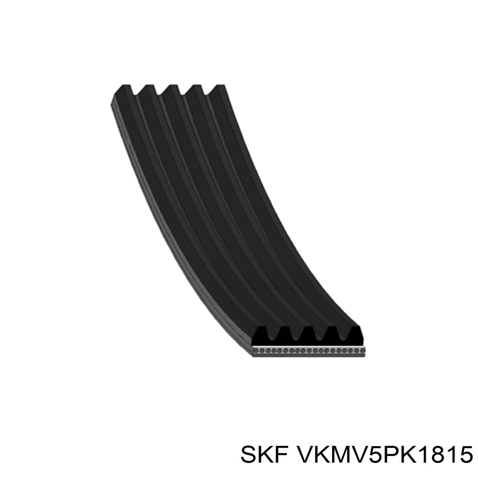 VKMV5PK1815 SKF correa trapezoidal