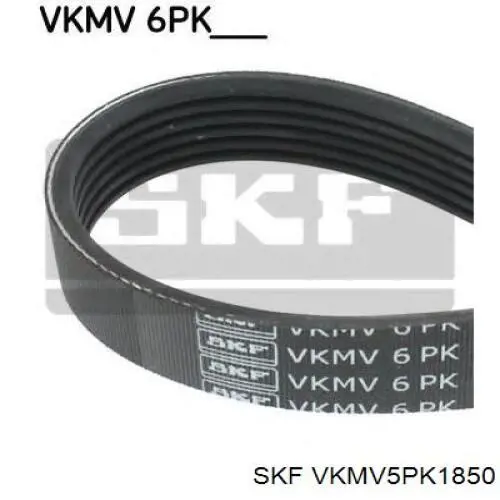 VKMV 5PK1850 SKF correa trapezoidal