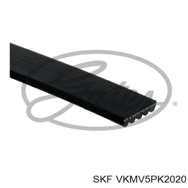 VKMV5PK2020 SKF correa trapezoidal