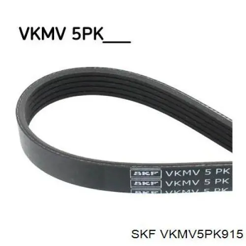 VKMV5PK915 SKF correa trapezoidal