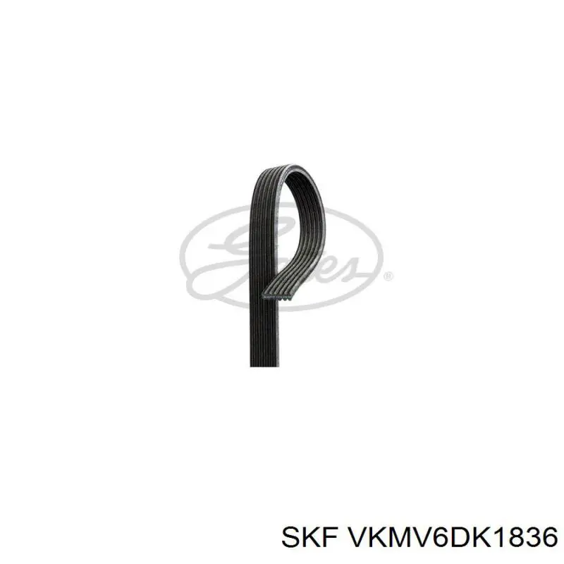 VKMV 6DK1836 SKF correa trapezoidal