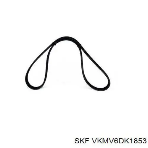 VKMV6DK1853 SKF correa trapezoidal