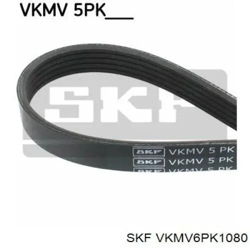 VKMV6PK1080 SKF correa trapezoidal