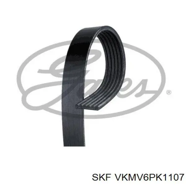 VKMV6PK1107 SKF correa trapezoidal