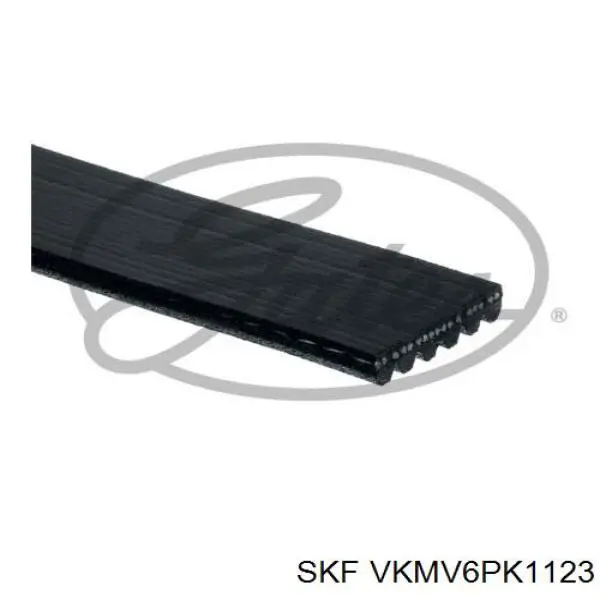 VKMV6PK1123 SKF correa trapezoidal