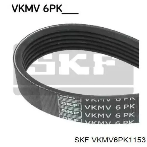 VKMV6PK1153 SKF correa trapezoidal