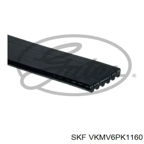 VKMV6PK1160 SKF correa trapezoidal