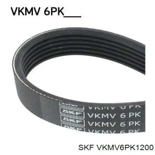 VKMV6PK1200 SKF correa trapezoidal