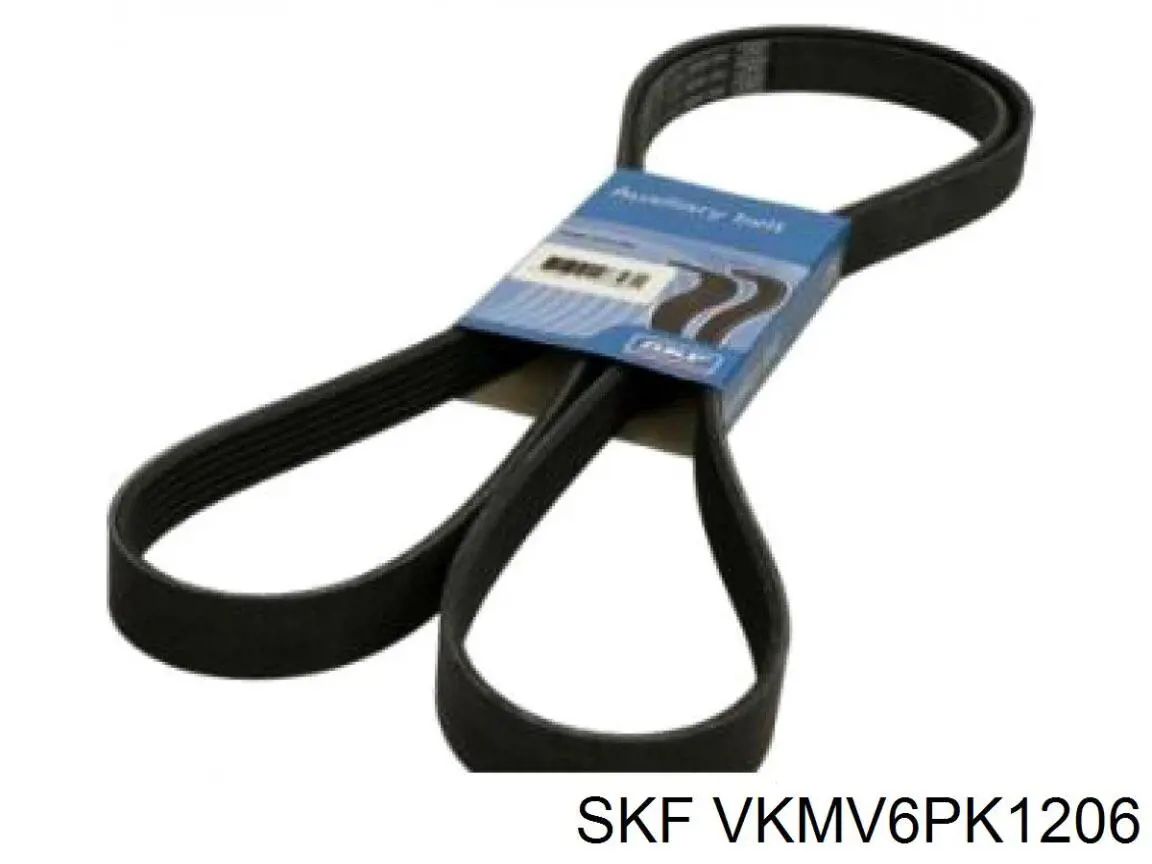 VKMV6PK1206 SKF correa trapezoidal