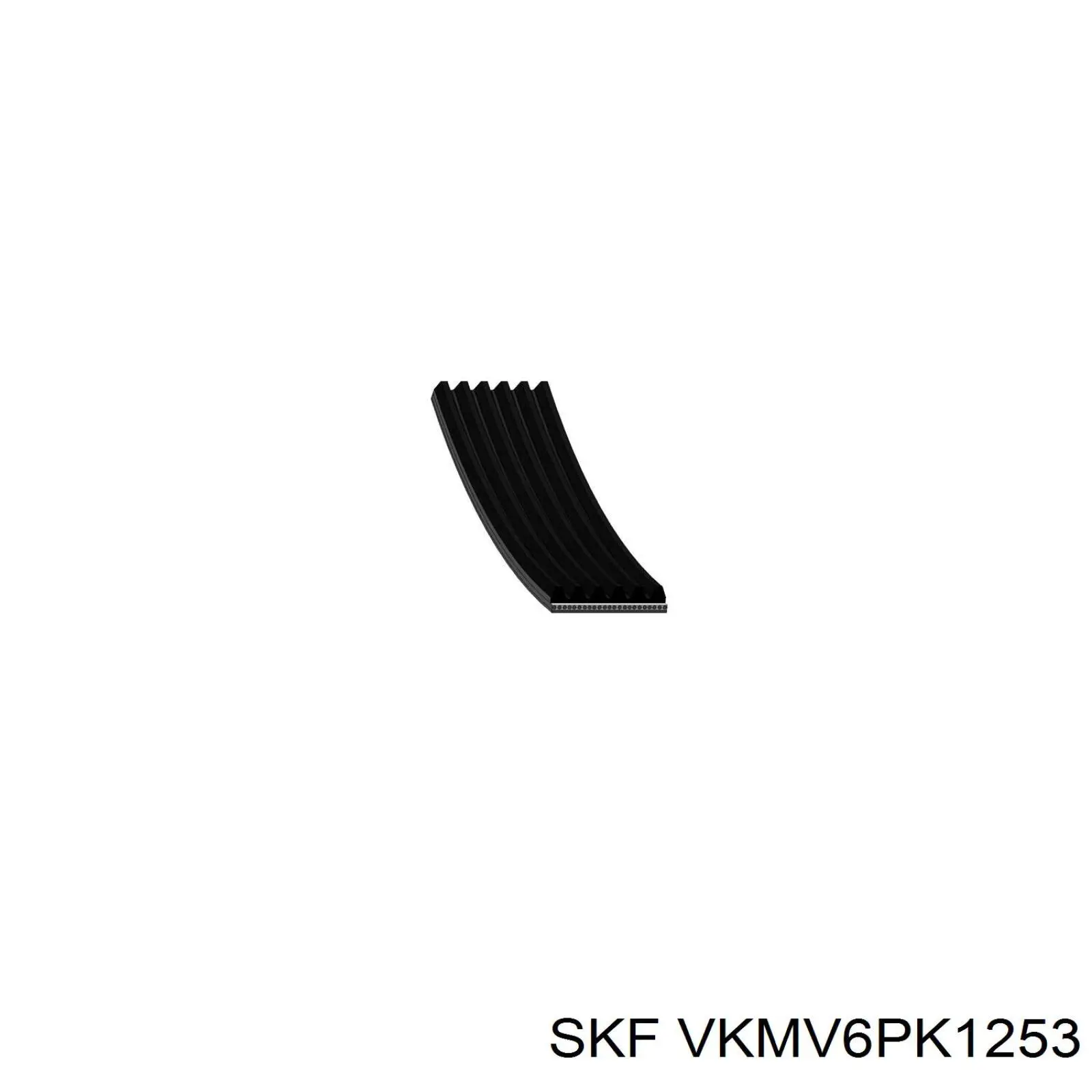 VKMV6PK1253 SKF correa trapezoidal