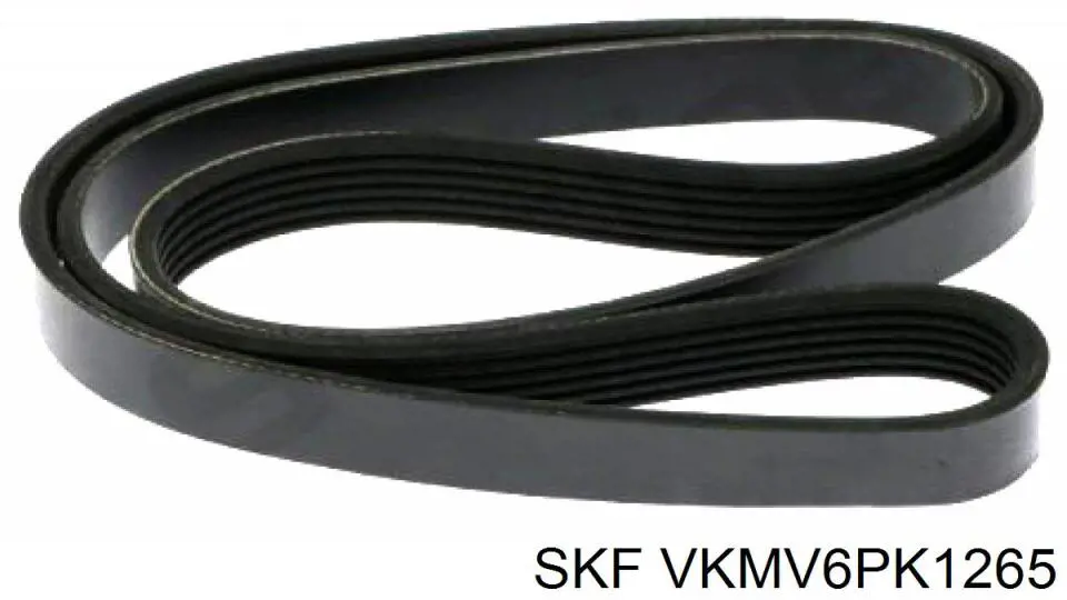 VKMV6PK1265 SKF correa trapezoidal
