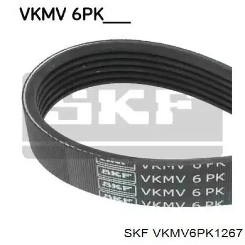 VKMV6PK1267 SKF correa trapezoidal