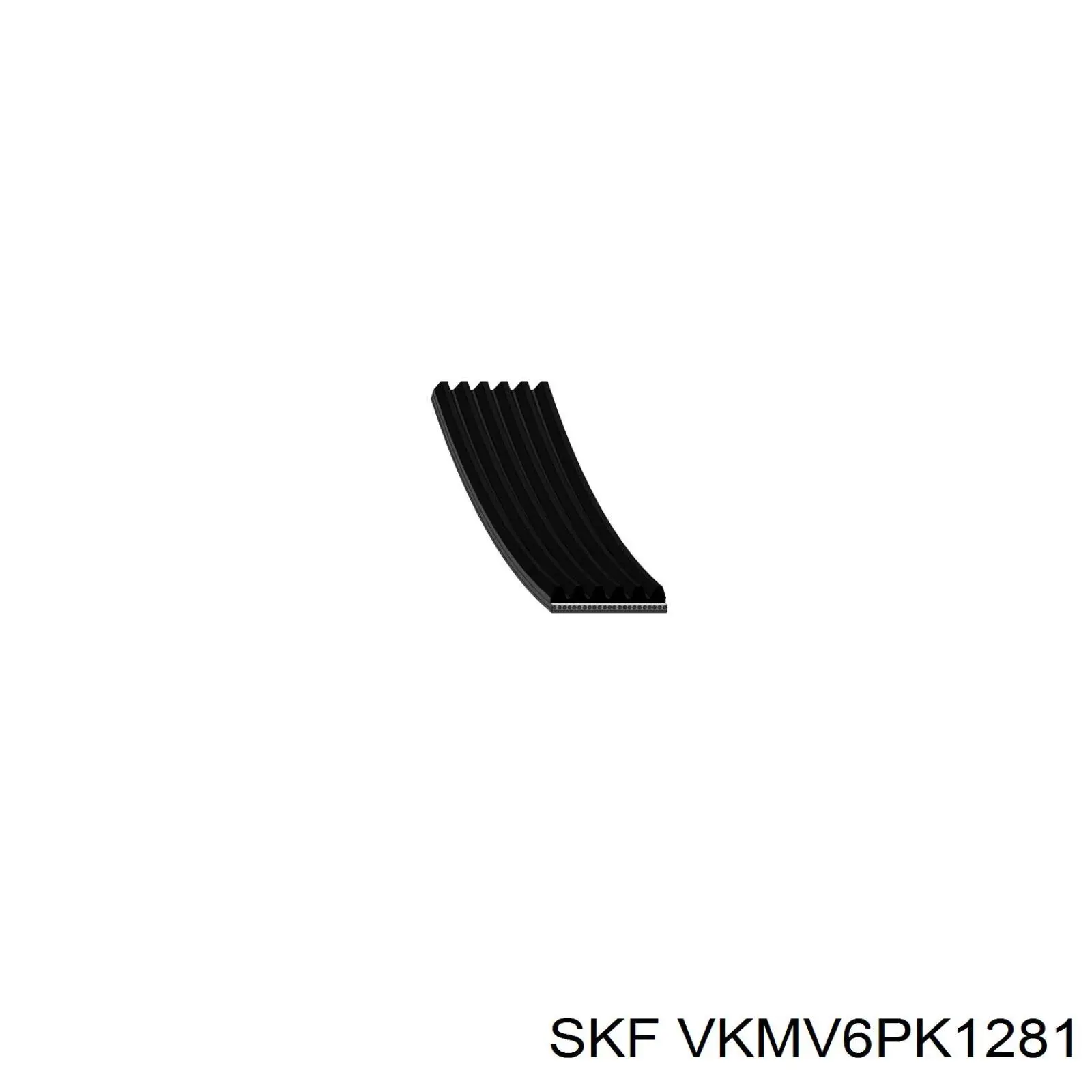 VKMV6PK1281 SKF correa trapezoidal