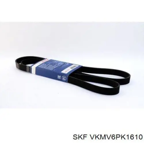 VKMV6PK1610 SKF correa trapezoidal