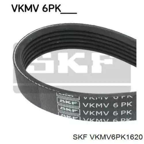 VKMV 6PK1620 SKF correa trapezoidal