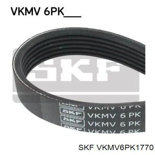 VKMV 6PK1770 SKF correa trapezoidal
