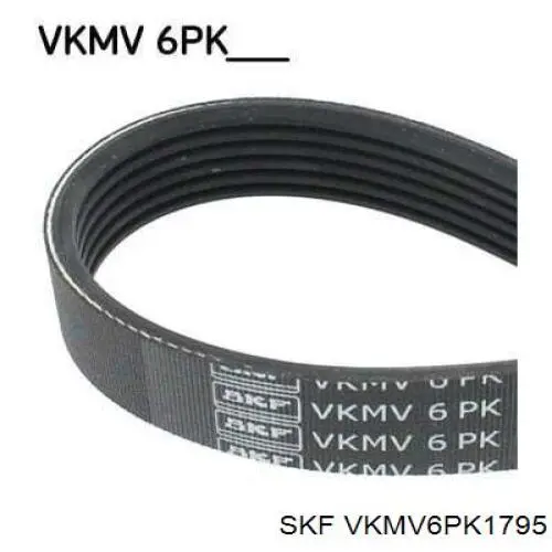 VKMV6PK1795 SKF correa trapezoidal