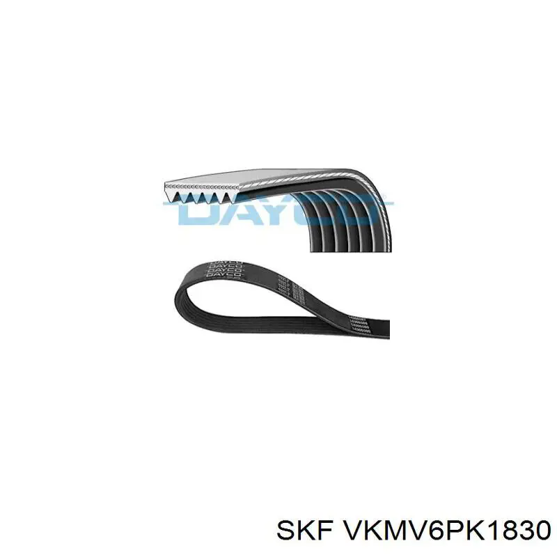 Correa de alternador VKMV6PK1830 SKF