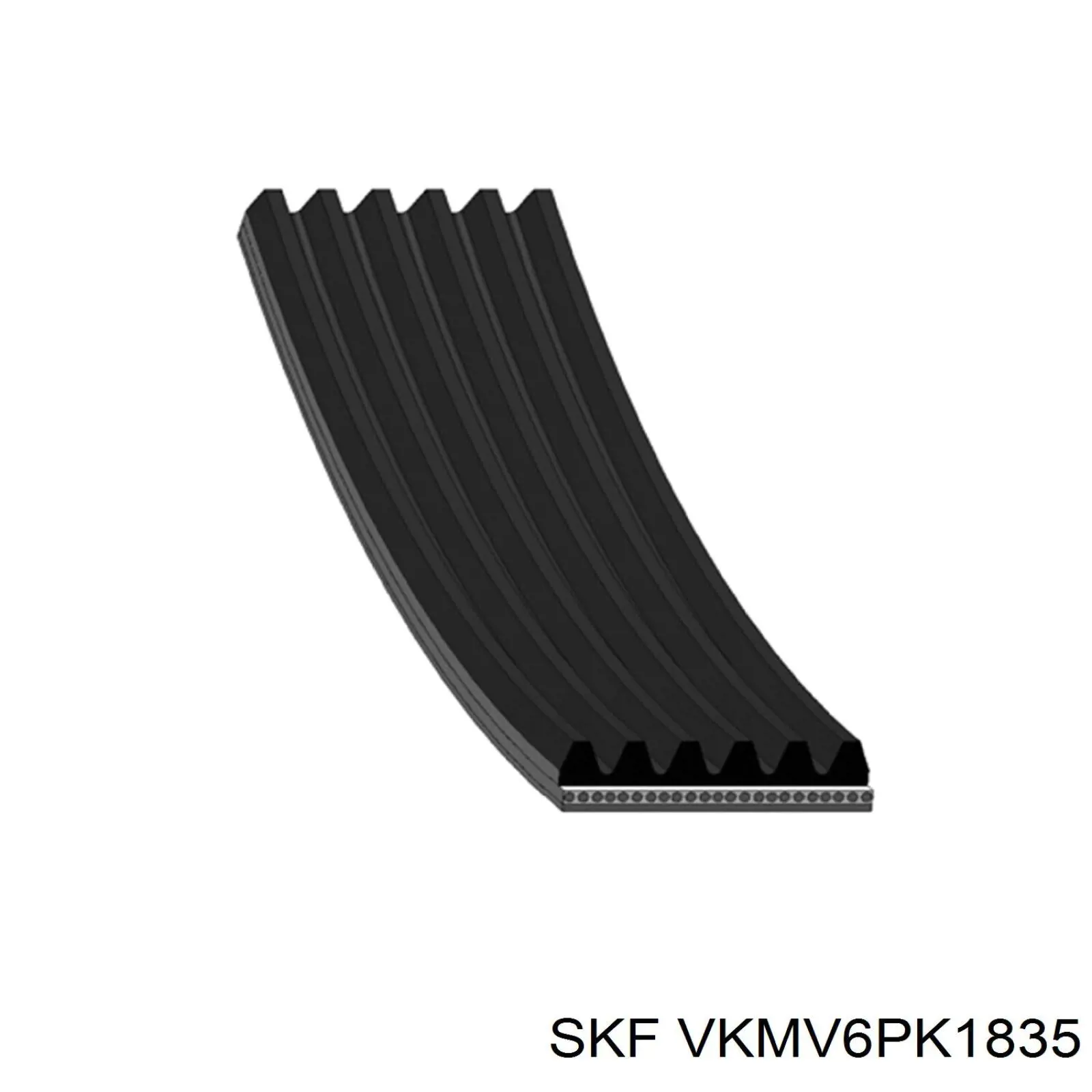 VKMV6PK1835 SKF correa trapezoidal