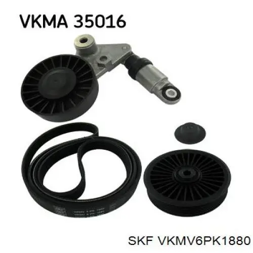 VKMV6PK1880 SKF correa trapezoidal