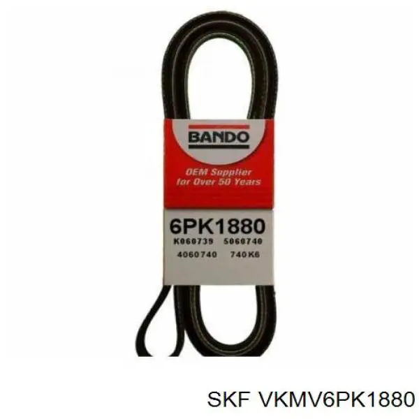 Comprar VKMV6PK1880 SKF Correa trapezoidal