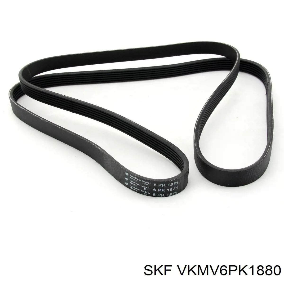Correa de alternador VKMV6PK1880 SKF