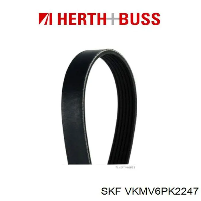 Correa de transmisión trapezoidal SKF VKMV6PK2247 precio, desde 20,60 EUR