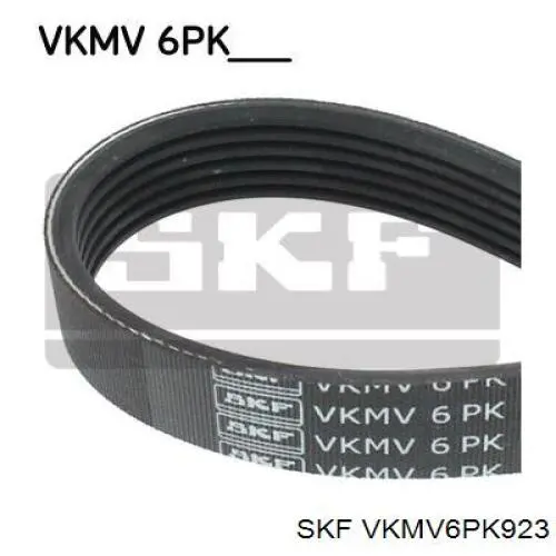 VKMV6PK923 SKF correa trapezoidal