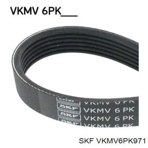 VKMV6PK971 SKF Correa poly v